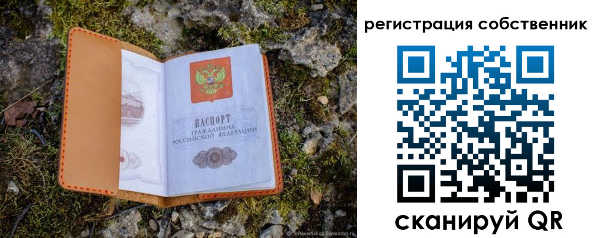 прописка поиск в Ельце